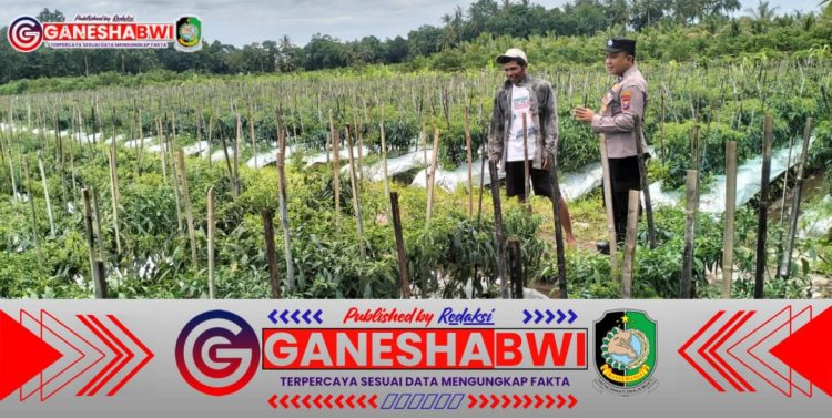 Dukung Ketahanan Pangan, Polresta Banyuwangi Dampingi Warga Manfaatkan Lahan Dukung Ketahanan Pangan, Polresta Banyuwangi Dampingi Warga Manfaatkan Lahan
