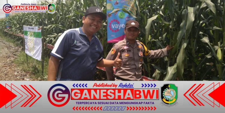 Bhabinkamtibmas Polresta Banyuwangi Dampingi Warga, Dukung Ketahanan Pangan Nasional