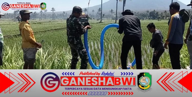 Babinsa Koramil 0825/15 Wongsorejo Dampingi Uji Coba Pompa Air Bantuan Distan untuk Petani