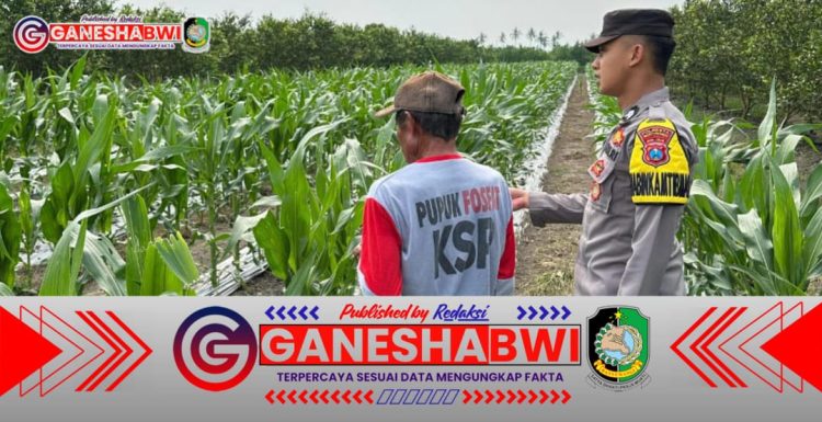 Polresta Banyuwangi Dukung Ketahanan Pangan, Gandeng Warga Kembangkan Pertanian Lokal