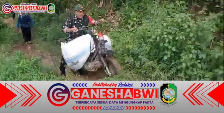 Personel Posramil 0825/22 Licin Bantu Petani Angkut Gabah ke Lumbung Padi di Segobang