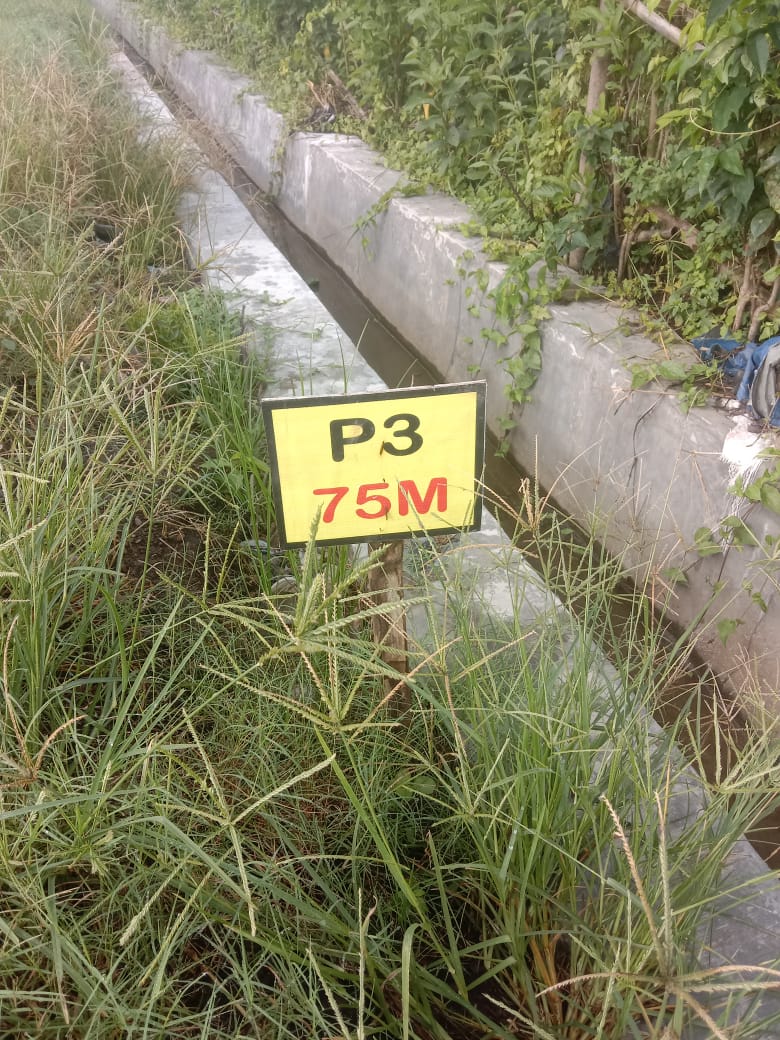 Proyek P3-TGAI di Sambirejo Dikerjakan Rekanan, Kades Diduga Lakukan Pembiaran