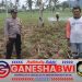 Bhabinkamtibmas Polresta Banyuwangi Dukung Ketahanan Pangan, Pantau Tanaman Jagung di Glenmore