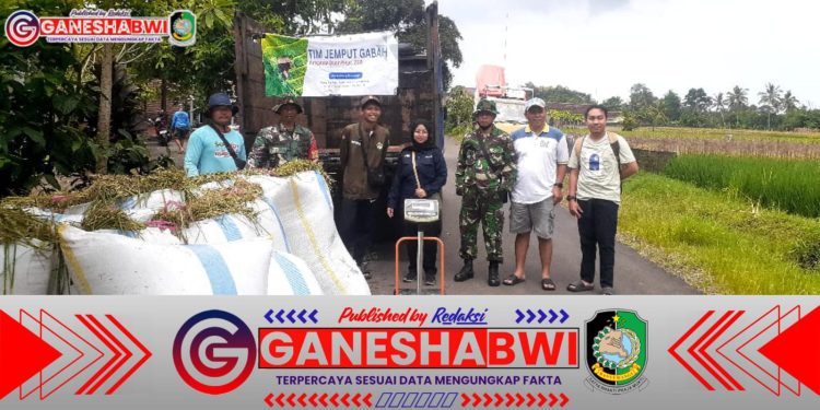 Babinsa Sukomaju Dampingi Bulog Serap Gabah Petani untuk Dukung Swasembada Pangan Babinsa Sukomaju Dampingi Bulog Serap Gabah Petani untuk Dukung Swasembada Pangan