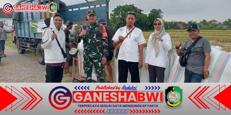 Babinsa Kebaman Dampingi Bulog Serap Gabah Petani untuk Dukung Swasembada Pangan