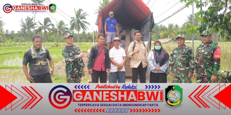 Babinsa Koramil 0825/20 Songgon Kawal Penyerapan Gabah Petani, Pastikan Harga Sesuai Ketentuan Babinsa Koramil 0825/20 Songgon Kawal Penyerapan Gabah Petani, Pastikan Harga Sesuai Ketentuan