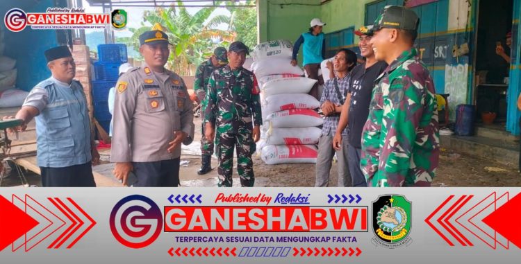 Koramil 0825/11 Pesanggaran Kawal Serapan Gabah, Pastikan Petani Dapat Harga Wajar