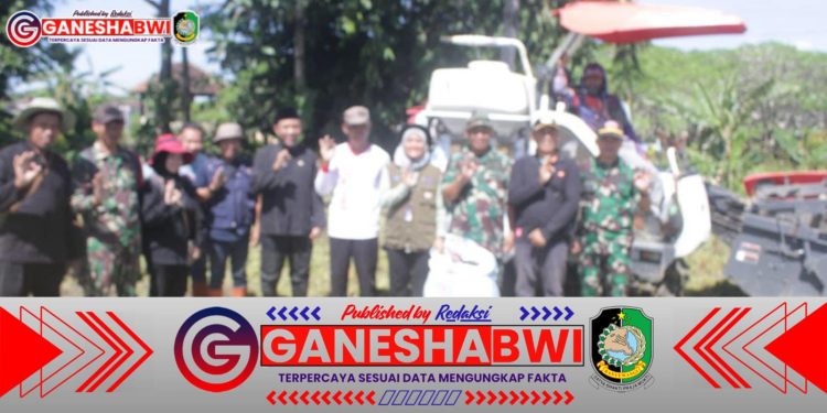 Kodim 0825/Banyuwangi Bersama Bulog dan Distan Serap Gabah Petani di Srono