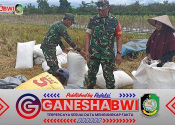 Babinsa Koramil 06 Gambiran Dampingi Petani dalam Program Serapan Gabah