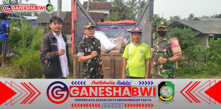 Babinsa Koramil 0825/20 Songgon Kawal Penyerapan Gabah di Dua Desa, Pastikan Petani Dapat Harga Adil