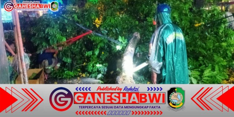 Pohon Tumbang di Jalan Susuit Tubun Banyuwangi, Lurah Kepatihan dan Damkar Bergerak Cepat Atasi Hambatan