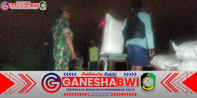 Danramil 0825/09 Tegaldlimo Dampingi Bulog Banyuwangi Serap Gabah Petani