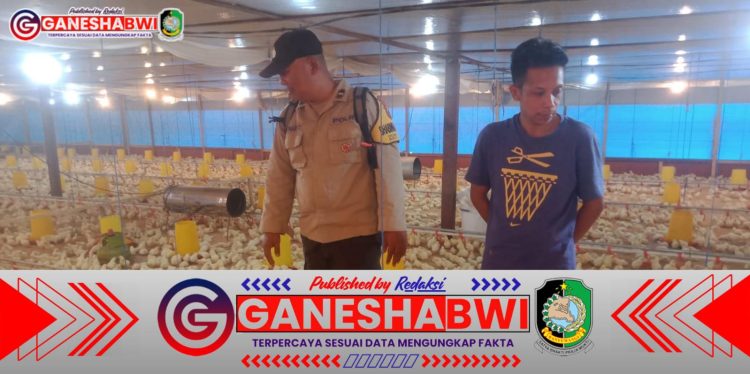 Bhabinkamtibmas Polresta Banyuwangi Dukung Ketahanan Pangan dengan Pendampingan Peternak Ayam