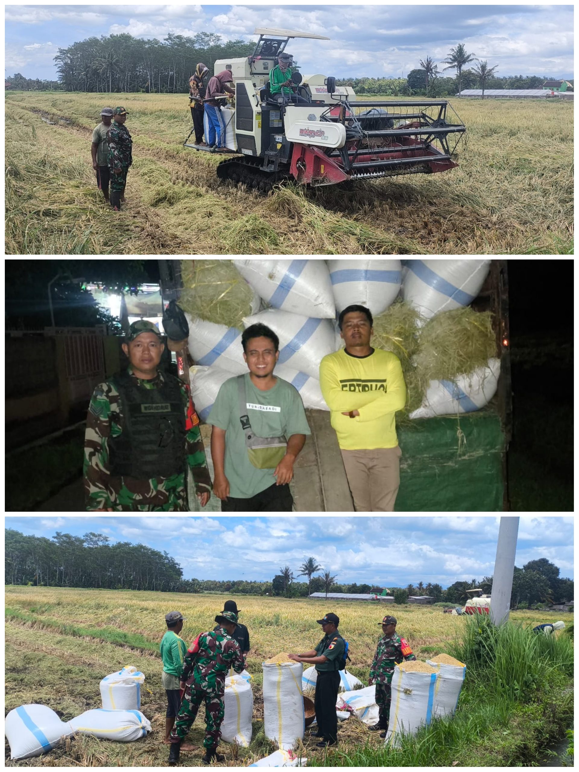 TNI dan Bulog Bersinergi, Serapan Gabah Petani Watukebo Berjalan Lancar