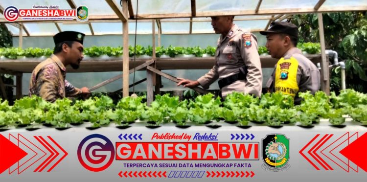 Polsek Kalipuro dan Pemdes Gencarkan Pemanfaatan Pekarangan untuk Ketahanan Pangan