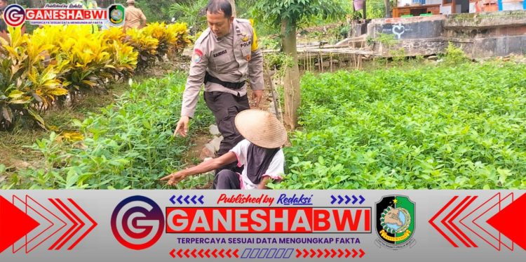 Bhabinkamtibmas Polresta Banyuwangi Gencarkan Pemanfaatan Pekarangan untuk Ketahanan Pangan