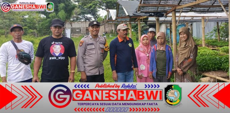 Bhabinkamtibmas Banyuwangi Dampingi Warga Kembangkan Pembibitan Cabai dan Tomat di Pekarangan