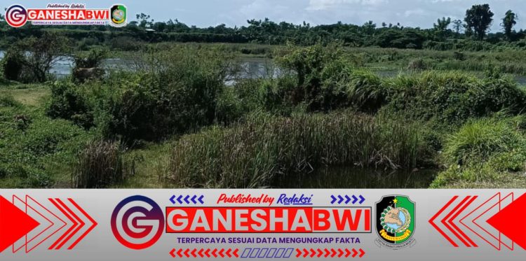 Kubangan Besar eks galian C di desa karangbendo Rogojampi yang Pernah Memakan Korban, Ketua Komunitas Info Warga Banyuwangi Mendesak Pemerintah Bertindak