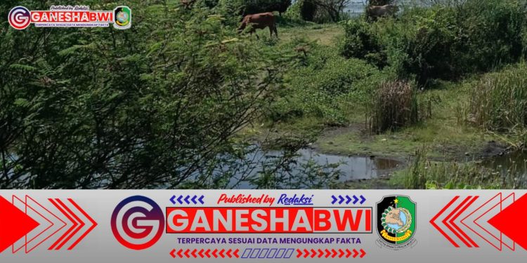 Kecaman Keras: Bekas Galian C di Karangbendo, Rogojampi, Banyuwangi Belum Direklamasi, Pihak Berwenang Diminta Bertindak Segera