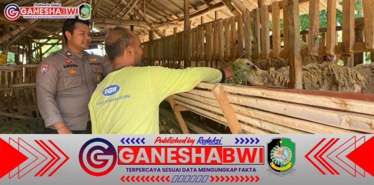 Dukung Program Ketahanan Pangan, Bhabinkamtibmas Banyuwangi Dampingi Peternak Kambing di Bulurejo