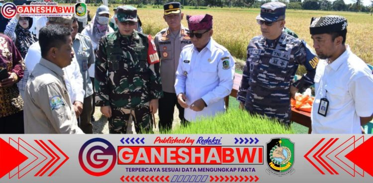 Danlanal Banyuwangi Hadiri Panen Raya Serentak Nasional Bersama Presiden RI