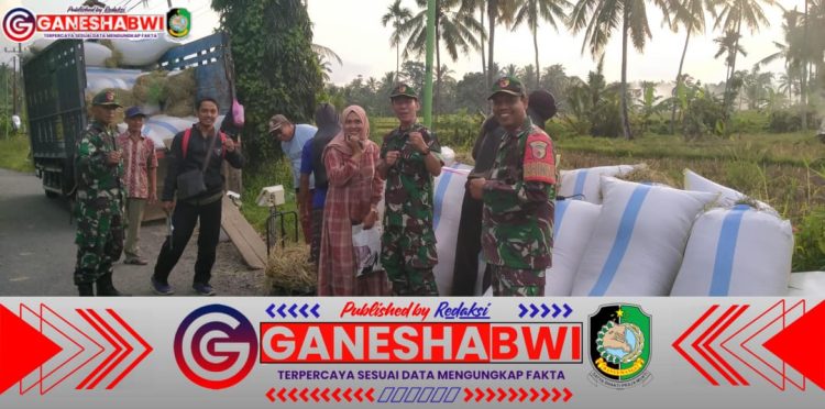 Koramil 0825/20 Songgon Kawal Penyerapan Gabah Petani oleh Bulog di Desa Songgon