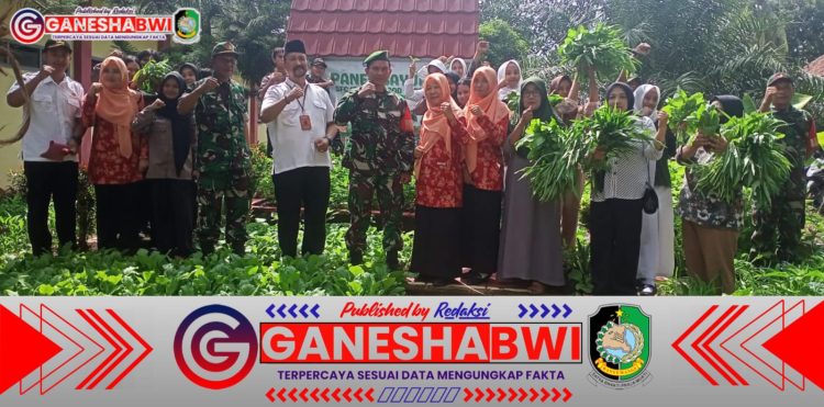 Danramil Tegaldlimo Hadiri Panen Raya School Food Care SMA Negeri 1 Tegaldlimo, Wujud Nyata Sinergi Ketahanan Pangan Lokal