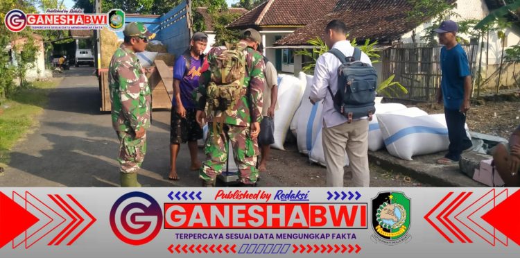Babinsa Songgon Kawal Penyerapan 5,5 Ton Gabah Petani Oleh Bulog, Pastikan Harga Sesuai Pemerintah