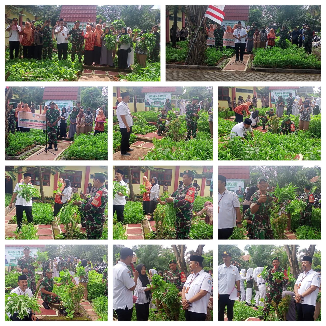 Danramil Tegaldlimo Hadiri Panen Raya School Food Care SMA Negeri 1 Tegaldlimo, Wujud Nyata Sinergi Ketahanan Pangan Lokal