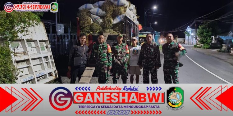 Babinsa Koramil Kabat Dampingi Penyerapan 11 Ton Gabah Petani dari Pagi hingga Malam