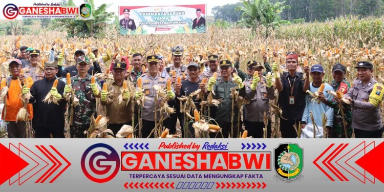 Polresta Banyuwangi Panen Raya Jagung Tahap I Dukung Swasembada Pangan 2025