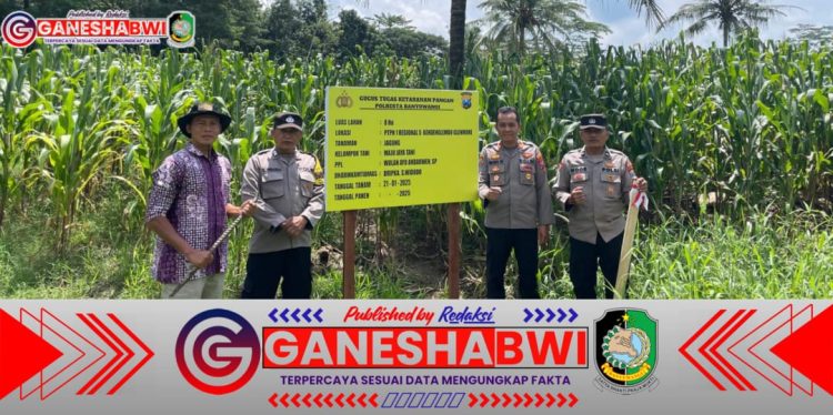 Dukung Asta Cita Presiden, Polresta Banyuwangi Kawal Ketahanan Pangan Lewat Monitoring Lahan Jagung