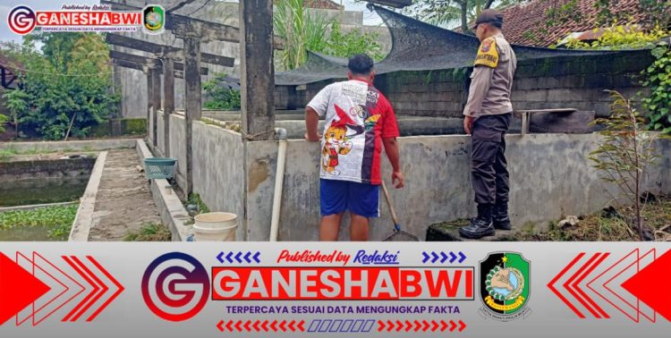 Bhabinkamtibmas Banyuwangi Dukung Ketahanan Pangan Lewat Budidaya Ikan Lele di Pekarangan Warga