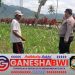 Bhabinkamtibmas Banyuwangi Dampingi Petani Jagung, Dukung Ketahanan Pangan Nasional