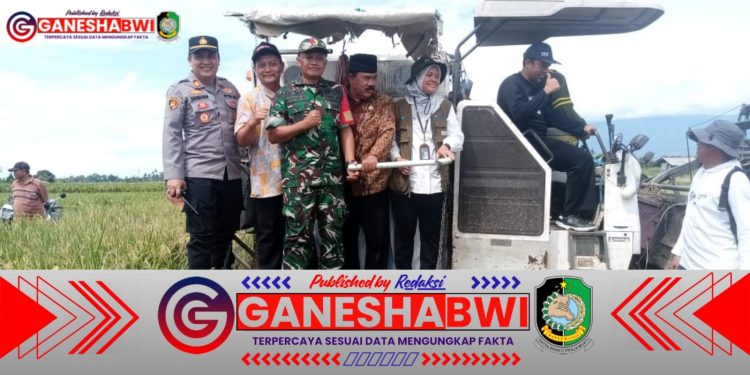 Sinergi TNI dan Bulog: Babinsa Bajulmati Dampingi Proses Sergap Gabah Petani