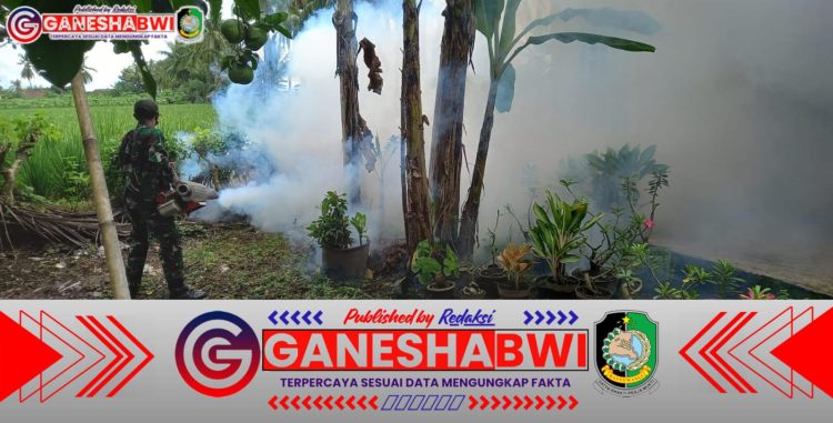 Babinsa Koramil Rogojampi Laksanakan Fogging untuk Cegah Penyebaran DBD di Desa Gintangan