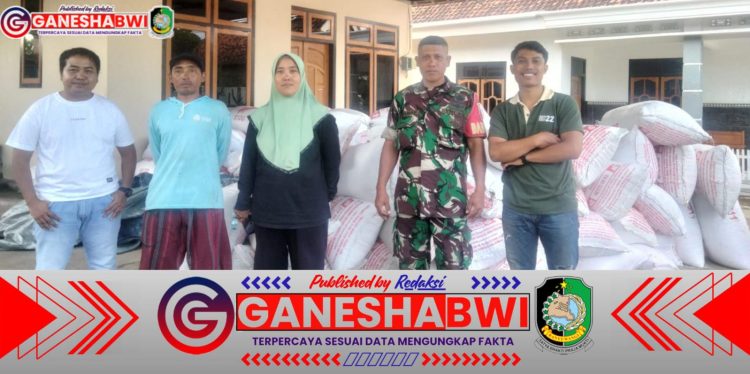 Babinsa Kedungasri Dampingi Serap Gabah Petani, Pastikan Harga Gabah Stabil di Banyuwangi