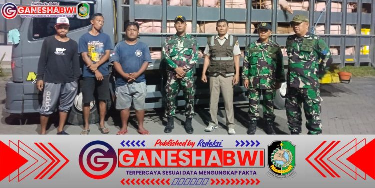TNI-Polri dan Karantina Gagalkan Pengiriman Puluhan Babi Tanpa Dokumen di Pelabuhan Ketapang Banyuwangi