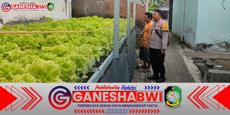Bhabinkamtibmas Polresta Banyuwangi Dukung Ketahanan Pangan Melalui Pemanfaatan Tanaman Hidroponik
