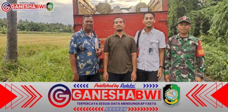 Babinsa Banyuwangi Dampingi Penyerapan Gabah Petani, Dukung Ketahanan Pangan Nasional