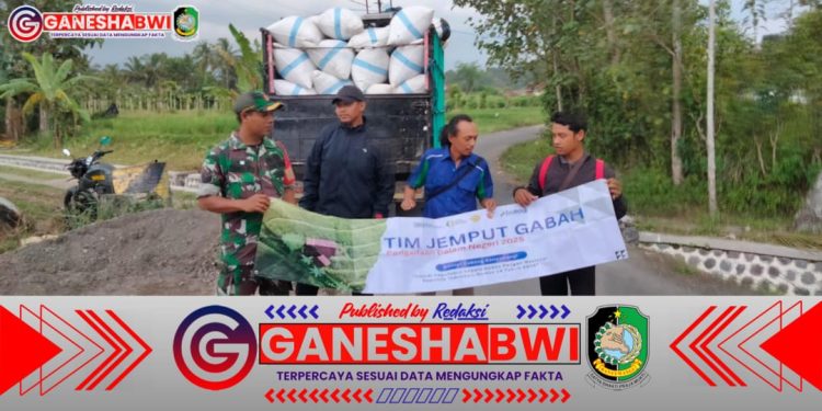 Serma Yudi Krisdianto Babinsa Koramil 0825/14 Kabat Dampingi Jemput Gabah Petani di Desa Tambong