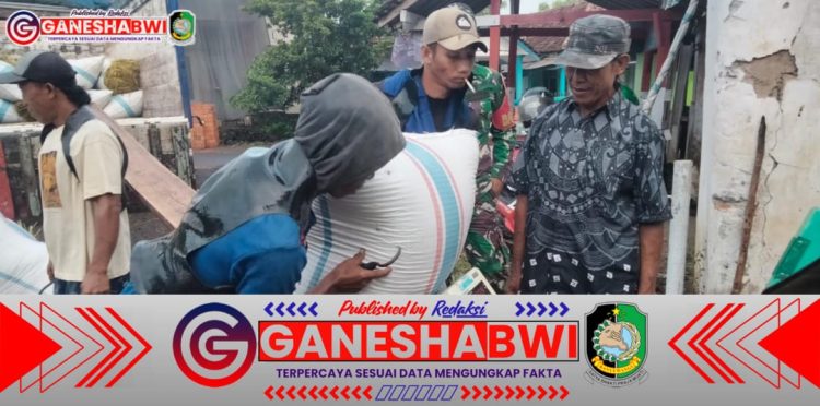Babinsa Koramil 0825/20 Songgon Kawal Penyerapan Gabah Petani di Empat Lokasi, Pastikan Harga Layak