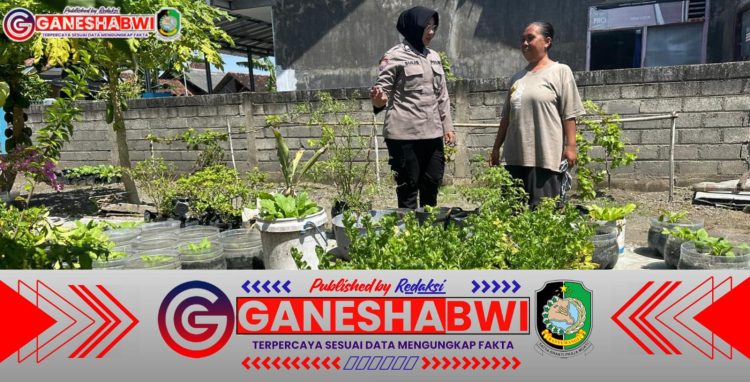 Hari Kartini, Polwan Polresta Banyuwangi Dampingi Warga Tanam Seledri di Pekarangan Dukung Ketahanan Pangan Hari Kartini, Polwan Polresta Banyuwangi Dampingi Warga Tanam Seledri di Pekarangan Dukung Ketahanan Pangan