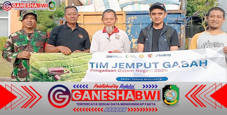 Babinsa Banyuwangi Dampingi Serapan Gabah, Cegah Permainan Harga dan Dukung Ketahanan Pangan