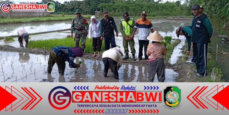 Babinsa dan PPL Sinergi Dampingi Petani Kedunggebang Tingkatkan Produktivitas Lahan Babinsa dan PPL Sinergi Dampingi Petani Kedunggebang Tingkatkan Produktivitas Lahan
