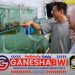 Banyuwangi Kampung Lobster: Sukses Budidaya dan Ekspor Lobster ke Tiongkok Banyuwangi Kampung Lobster: Sukses Budidaya dan Ekspor Lobster ke Tiongkok