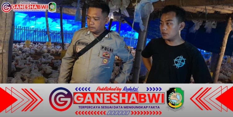 Polresta Banyuwangi Dorong Ketahanan Pangan Lewat Pengembangan Ternak Ayam Potong dan Petelur