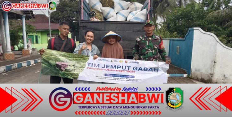 Babinsa Dampingi Proses Jemput Gabah Bersama BULOG Banyuwangi