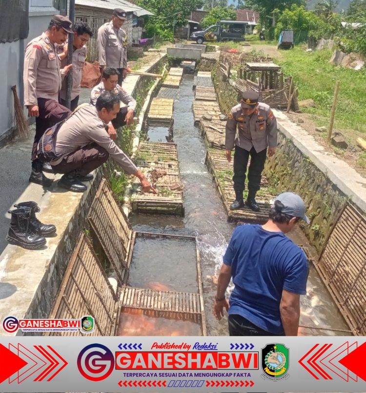 Polresta Banyuwangi Dampingi Budidaya Keramba Ikan untuk Perkuat Ketahanan Pangan Polresta Banyuwangi Dampingi Budidaya Keramba Ikan untuk Perkuat Ketahanan Pangan