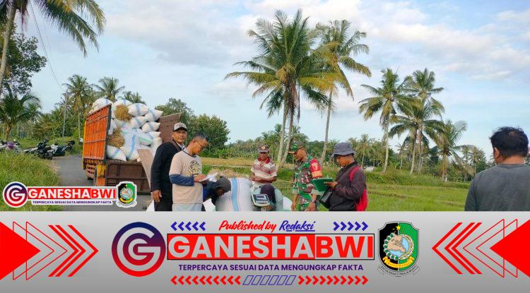 Babinsa Koramil 0825/20 Songgon Kawal Serapan Gabah Bulog di Empat Lokasi